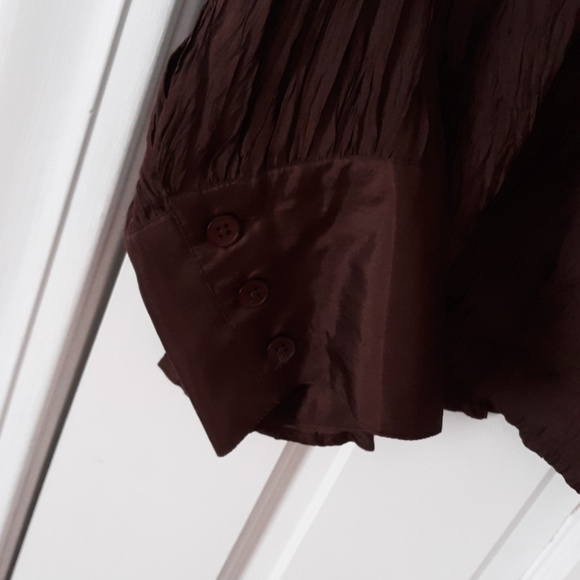 Avenue Soft Brown Crinkle Blouse - Picture 3 of 5